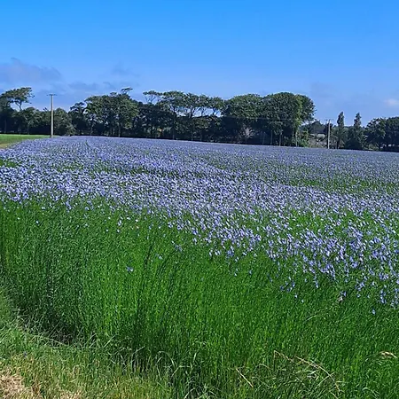 度假居 Clos Du Mont Maison Sur Falaise